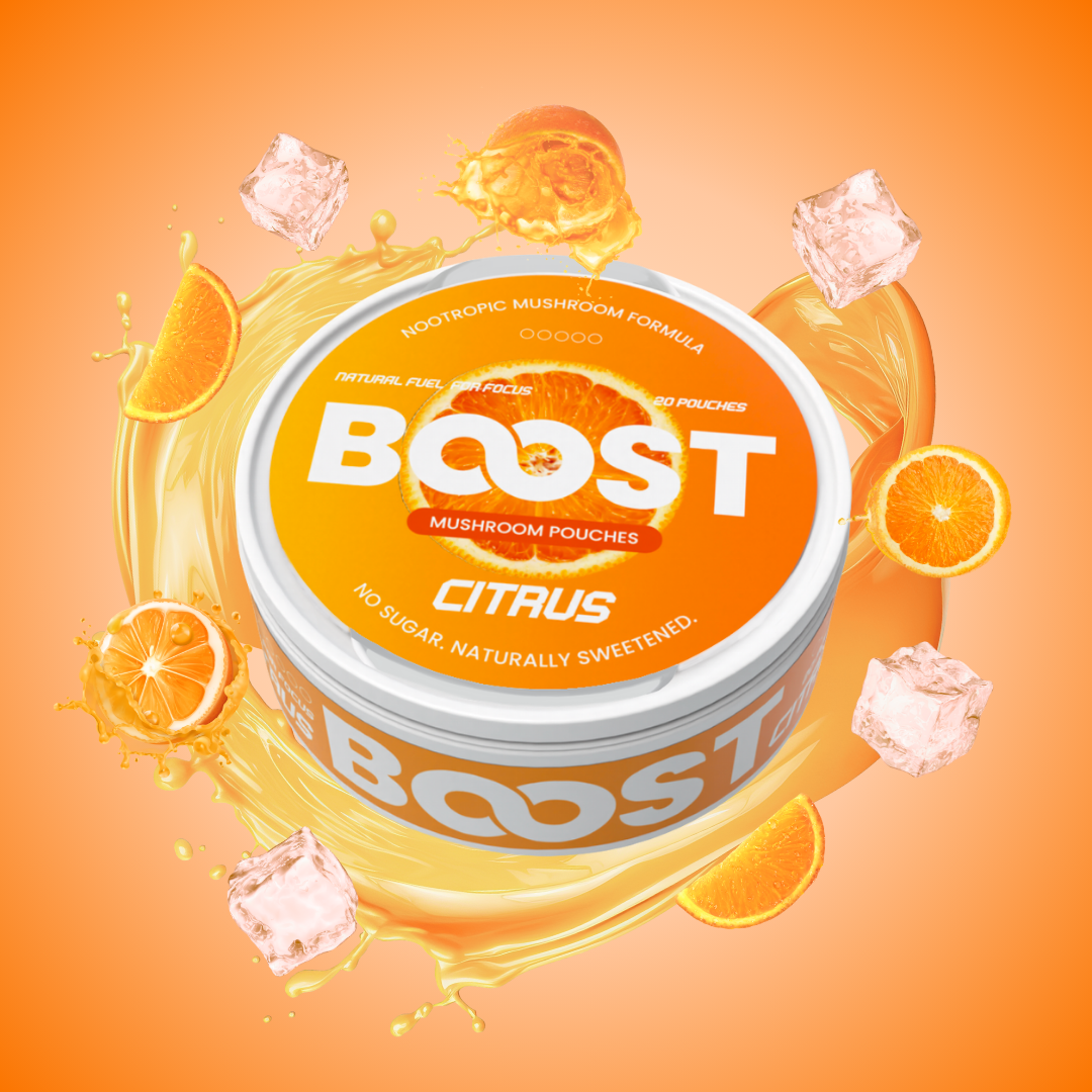 Boost - Nootropic Pouches VIP