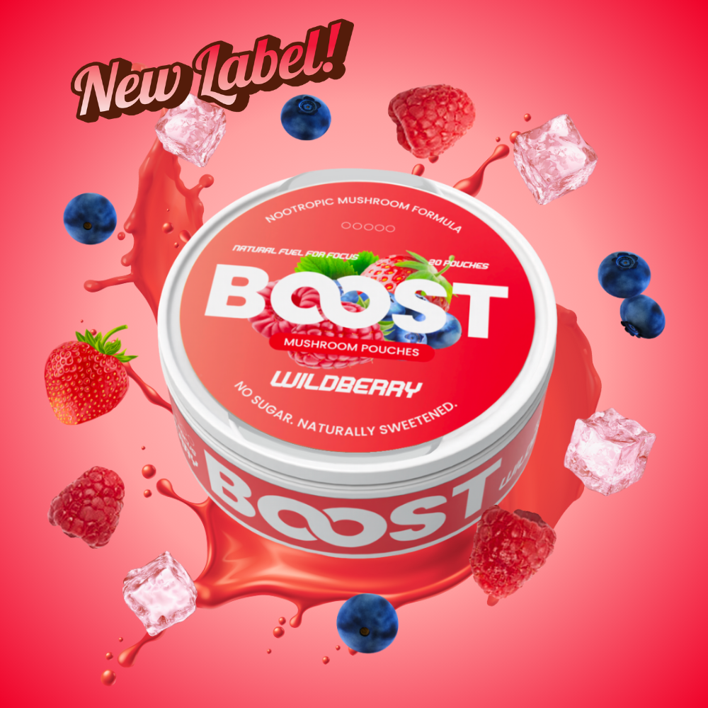 Boost Nootropic Pouches