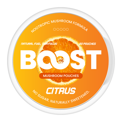 Boost Pouches Sabrina Test