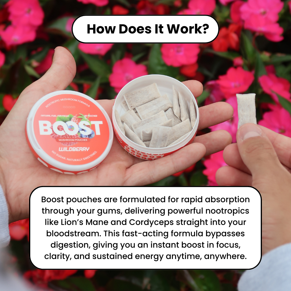 Boost Nootropic Pouches