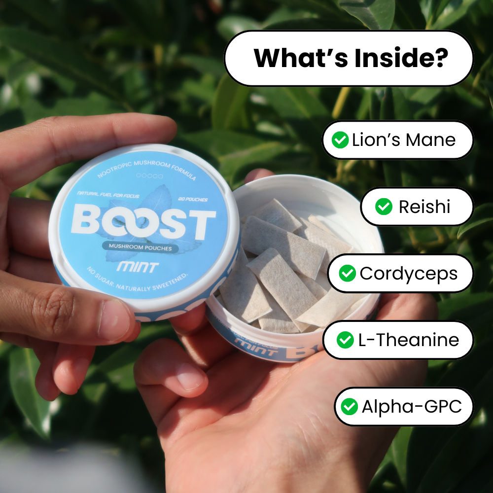 Boost Nootropic Pouches