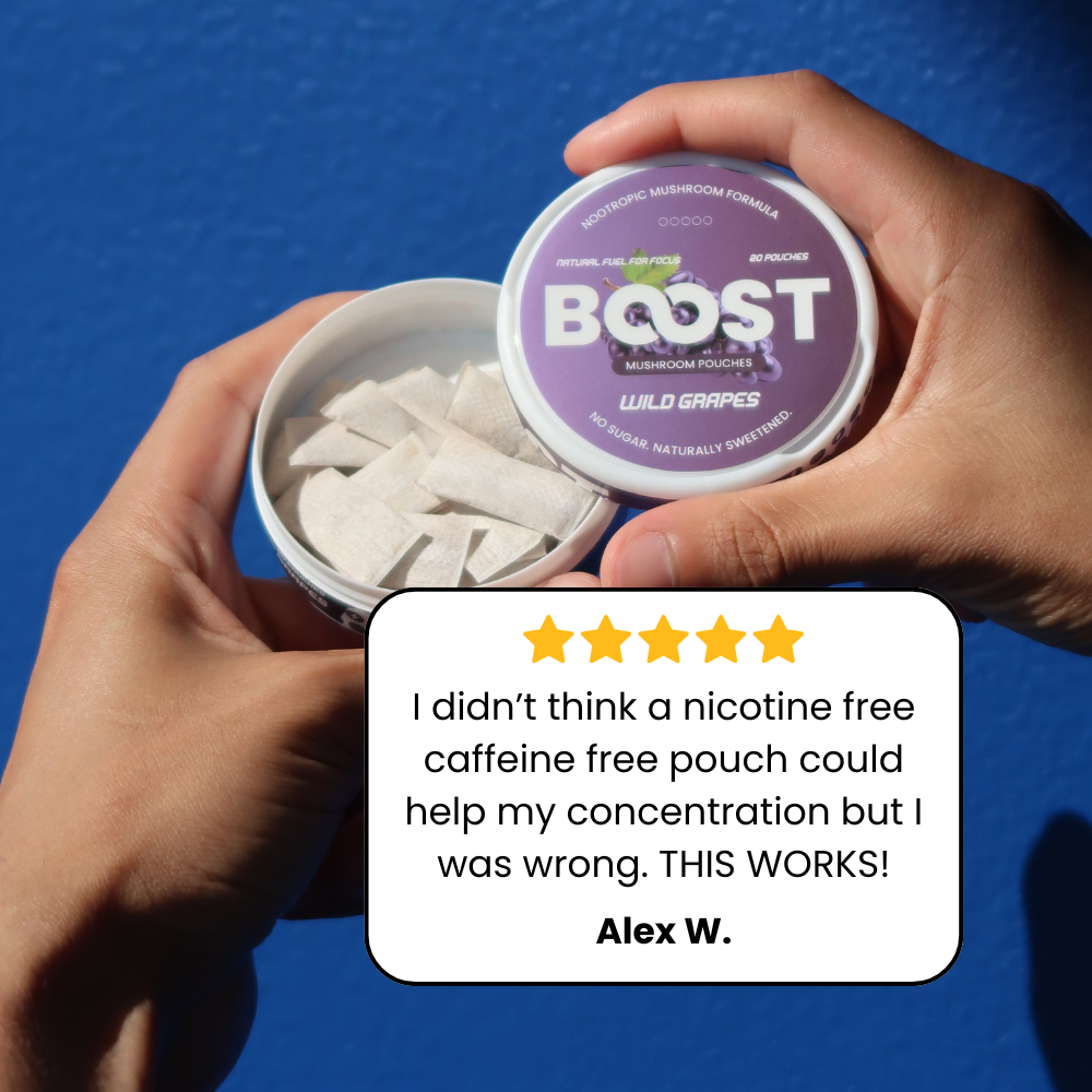 Boost Nootropic Pouches