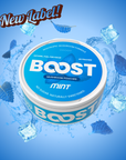 Boost Pouches (Mint)