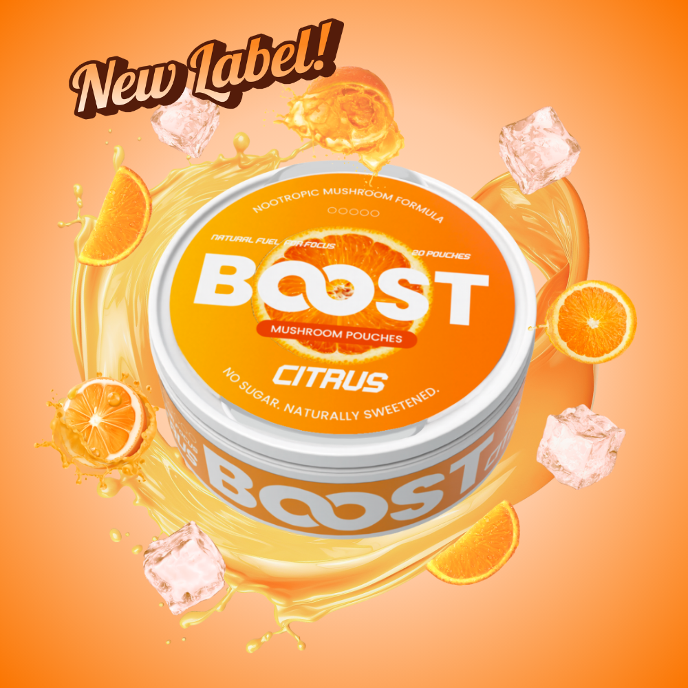 Boost Nootropic Pouches