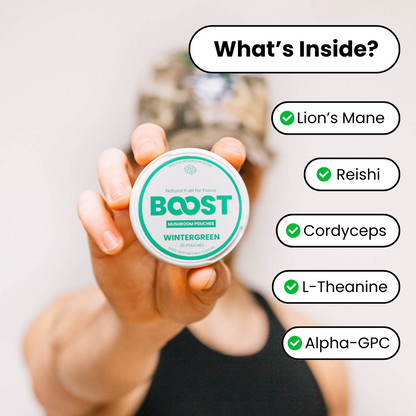 Boost Pouches (Wintergreen)