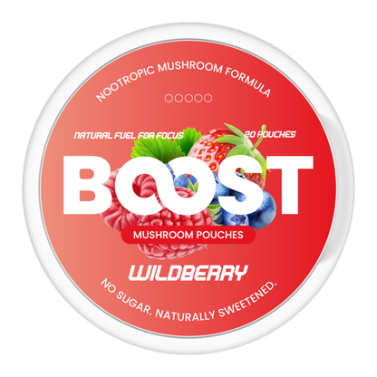 Boost Pouches Sabrina Test