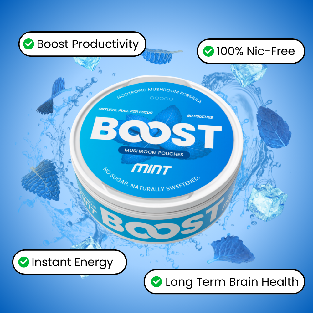 Boost Nootropic Pouches