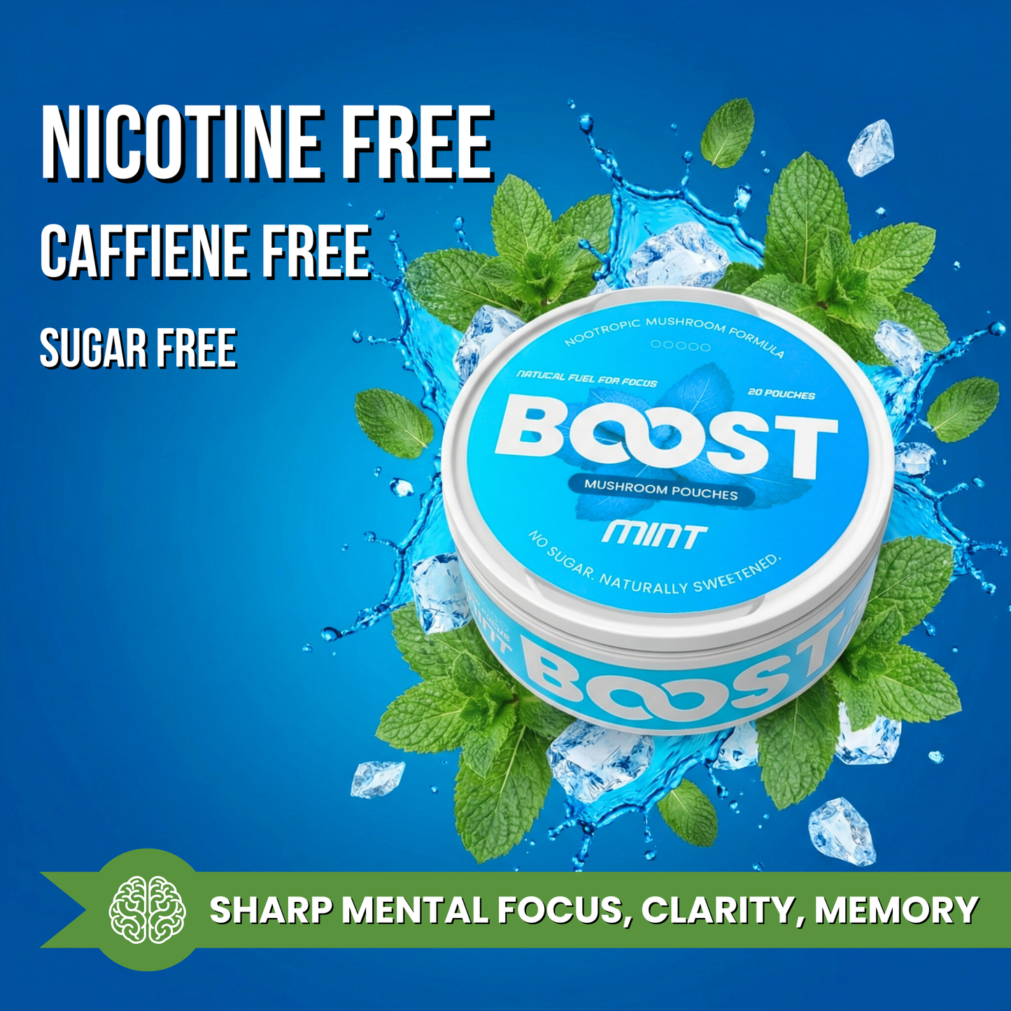 Boost - Nootropic Pouches