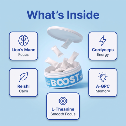 Boost - Nootropic Pouches
