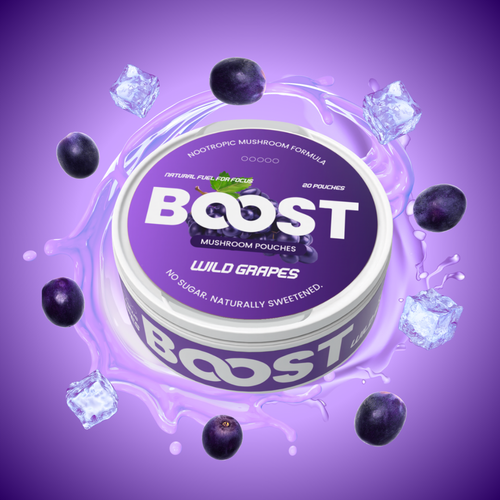 Boost - Nootropic Pouches VIP
