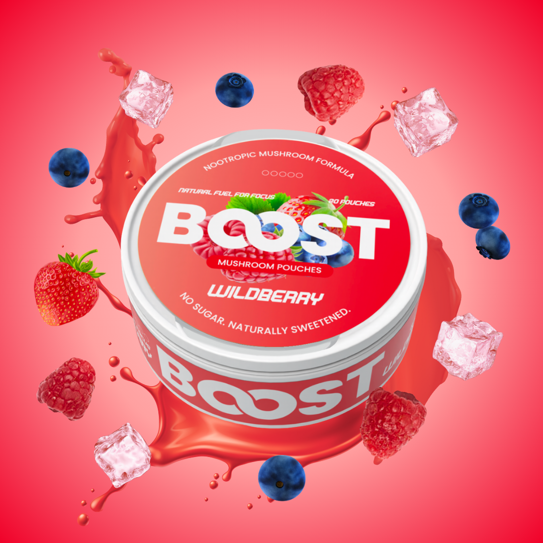 Boost - Nootropic Pouches